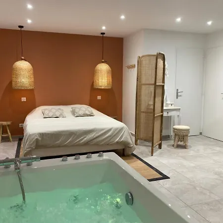 Cosy Avec Balneotherapie Apartment Saint-Etienne (Loire)
